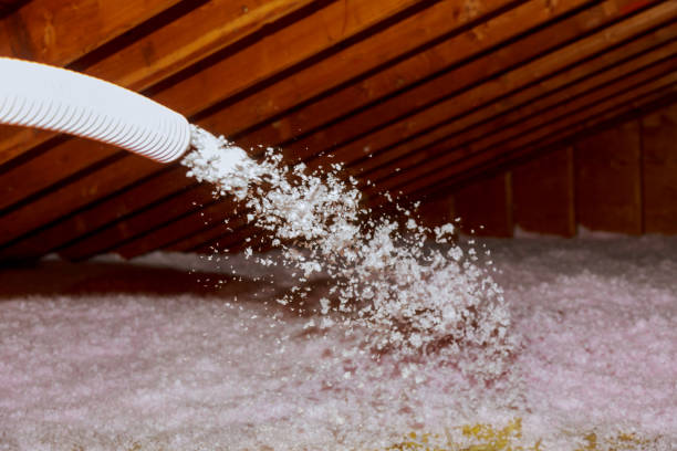 Best Spray Foam Insulation  in Fkville, AL