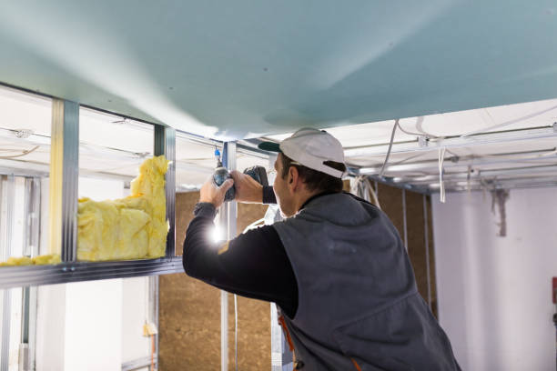 Best Home Insulation Services  in Fkville, AL