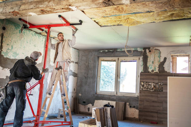Best Spray Foam Insulation  in Fkville, AL