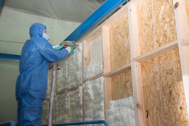 Best Insulation Replacement Services  in Fkville, AL