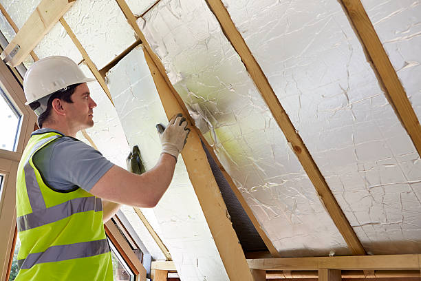 Best Local Insulation Services  in Fkville, AL